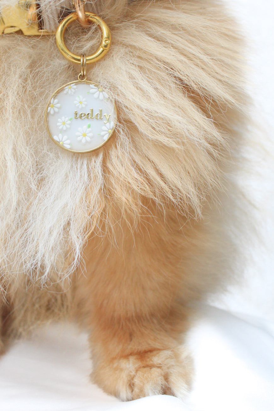 Médaille Jardin Secret