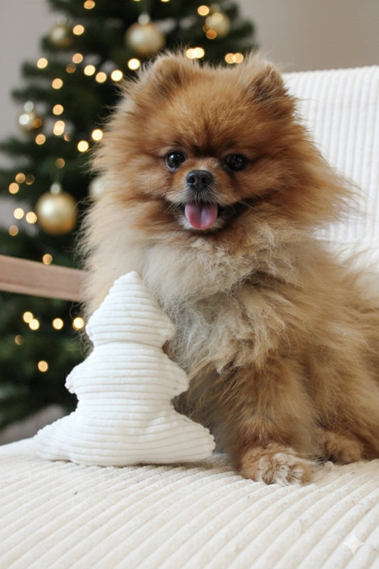 Jouet Sapin Blanc┃Tissu velours cotelés