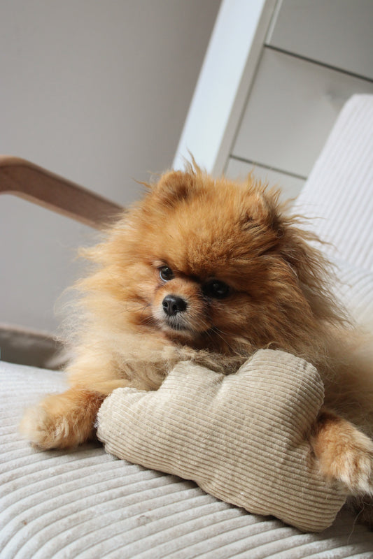 Jouet Nuage Beige┃Tissu velours cotelé