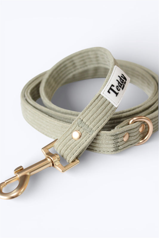 Laisse Kaki ┃Tissu velours cotelé