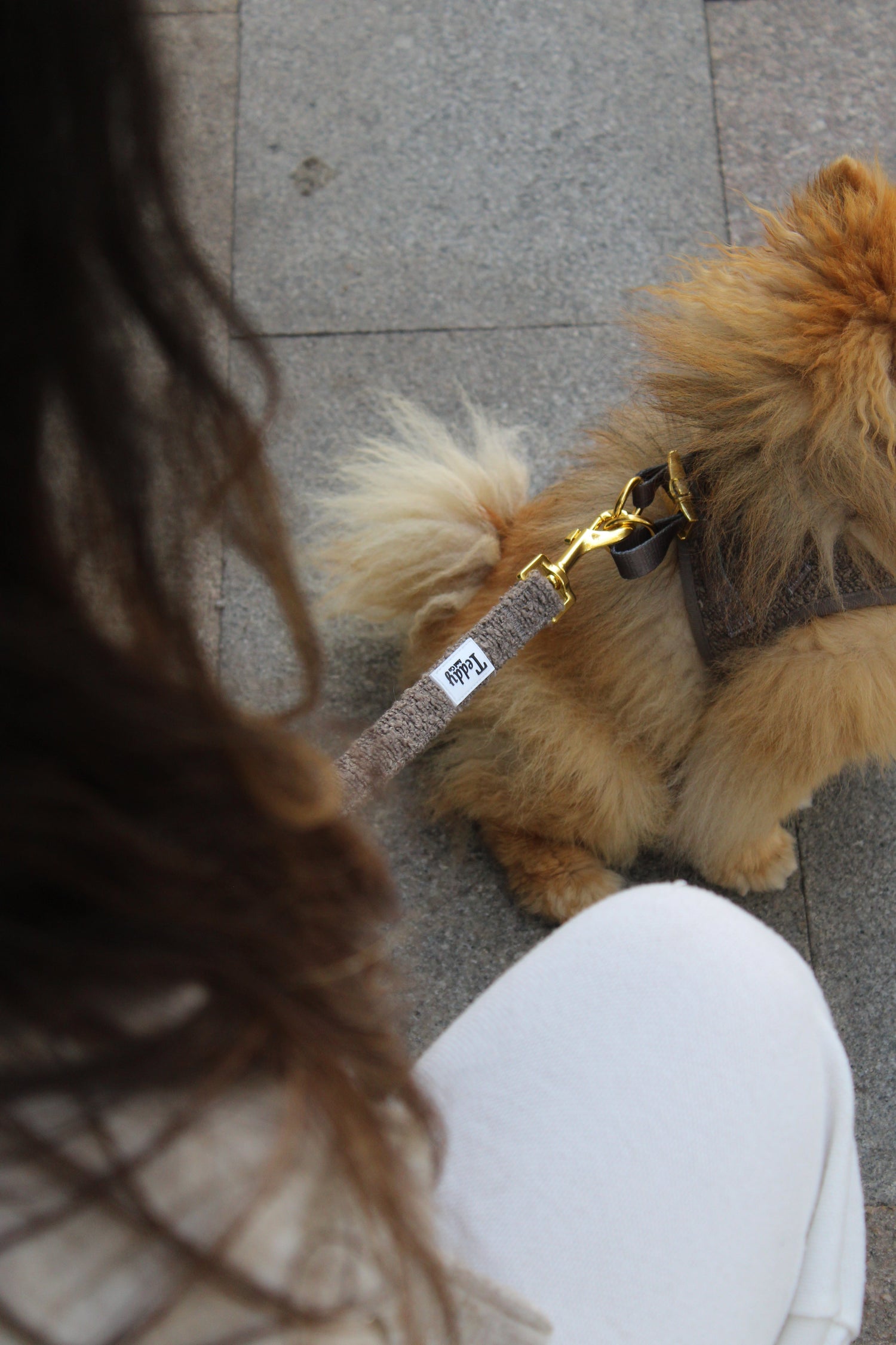 Laisses & Sac à Déjection