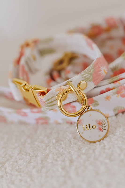 Médaille : Lilo