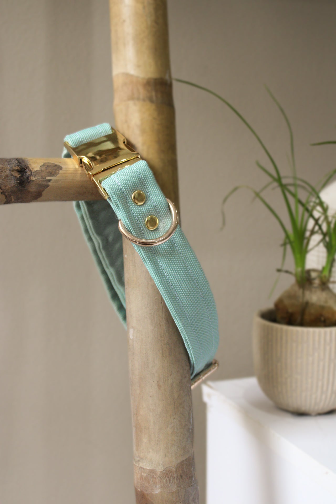 Collier uni vert d'eau - Tissu imperméable