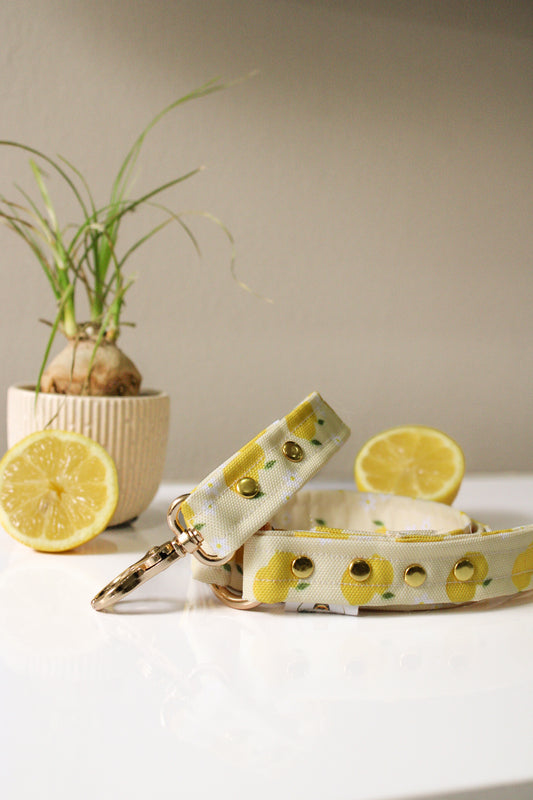 Laisse Citron - Tissu imperméable