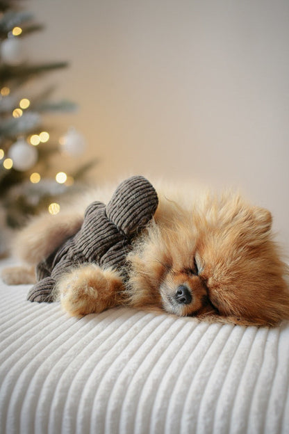 Jouet Pain d'épice┃Tissu velours cotelé