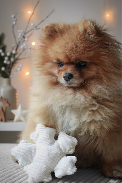 Jouet Flocon de neige┃Tissu velours cotelé