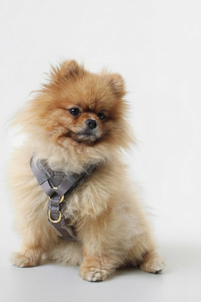 Harnais en Y Coffee┃Tissu Bouclette