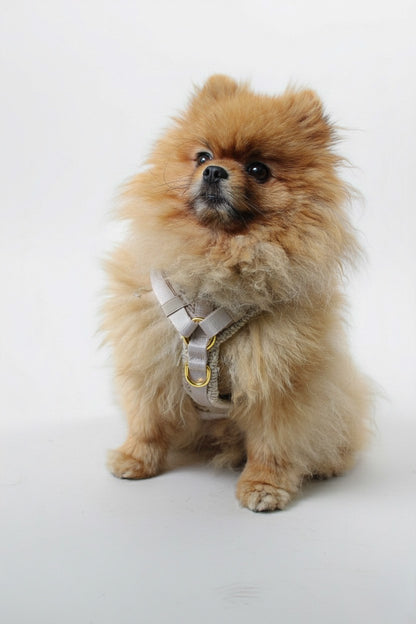 Harnais en Y Nude┃Tissu Bouclette