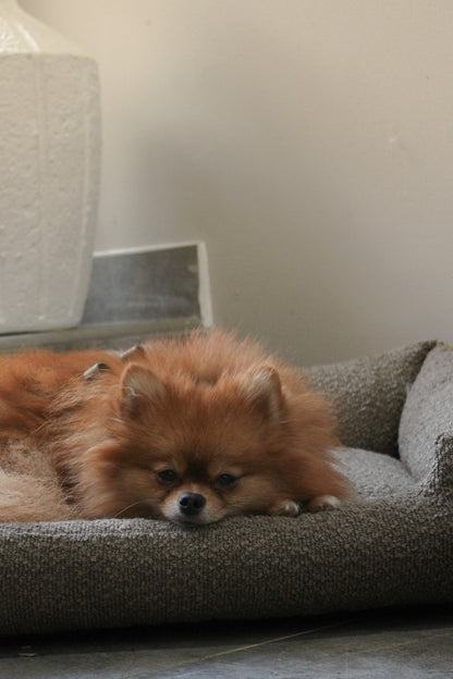 Le Teddy Lounge Coffee┃Tissu Bouclette