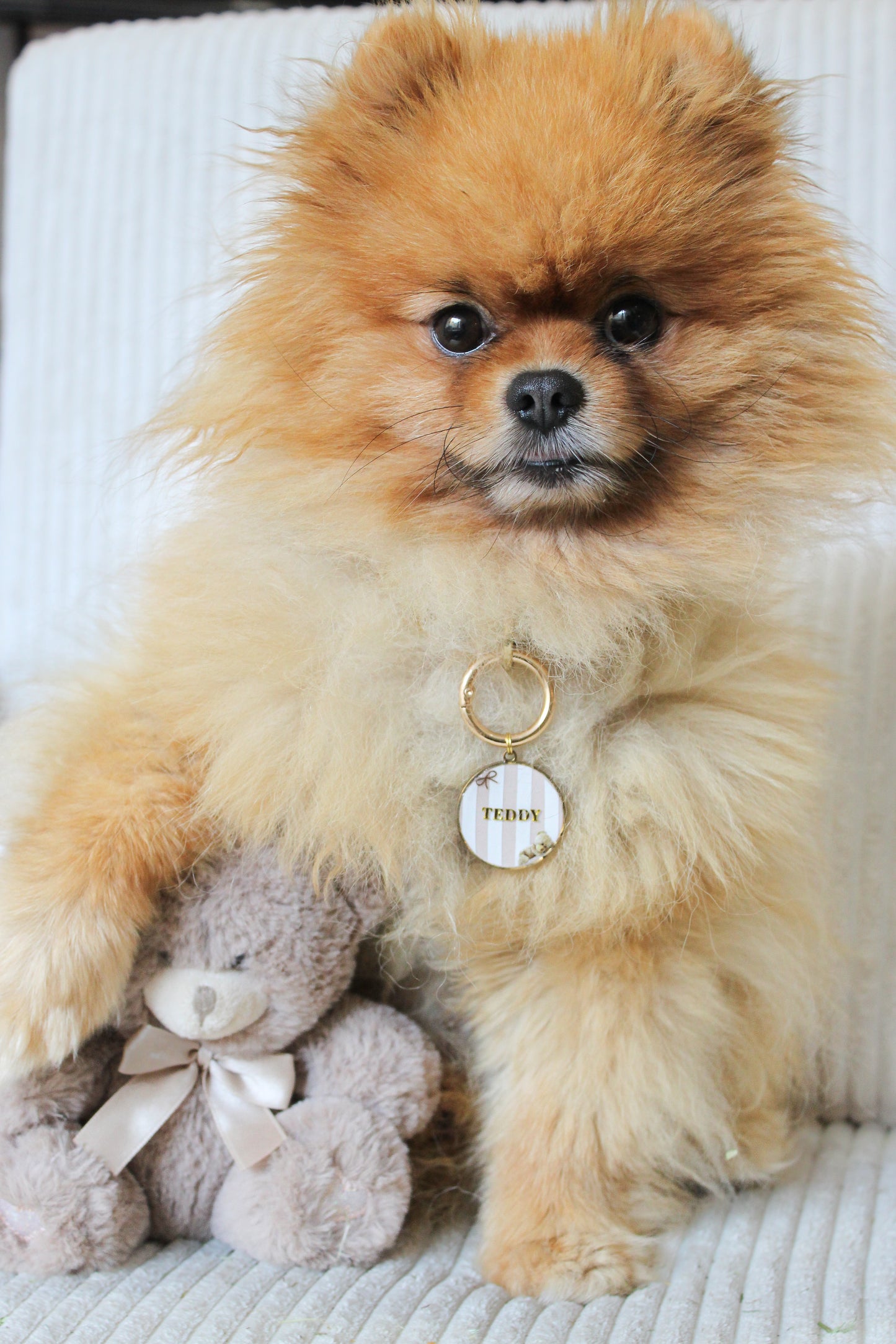 Médaille ┃ Teddy