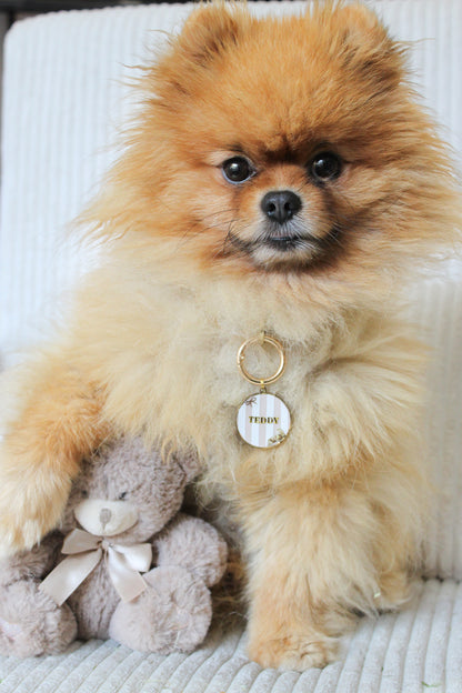 Médaille ┃ Teddy
