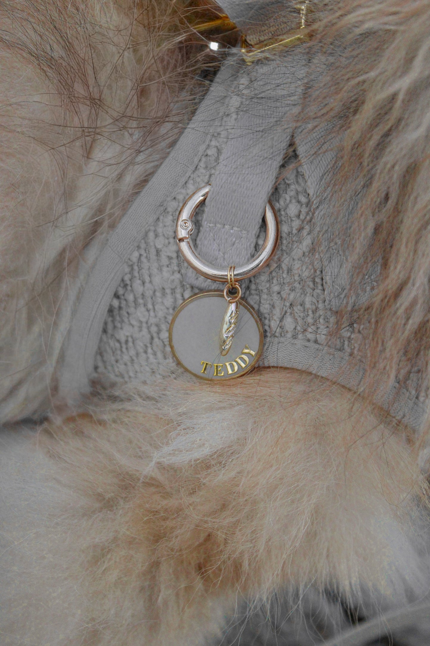 Médaille ┃ Baguette