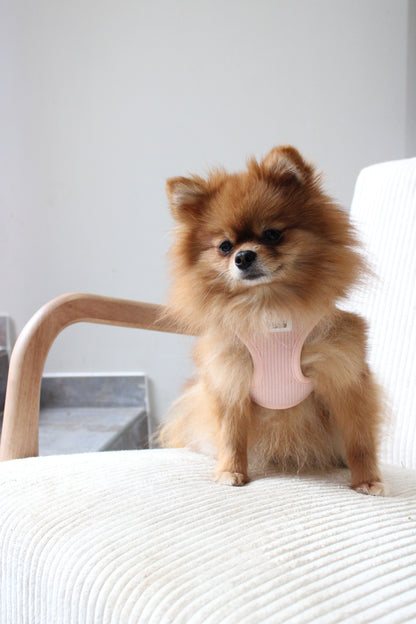 Harnais Easy Fit Poudre┃Tissu Velours cotelé