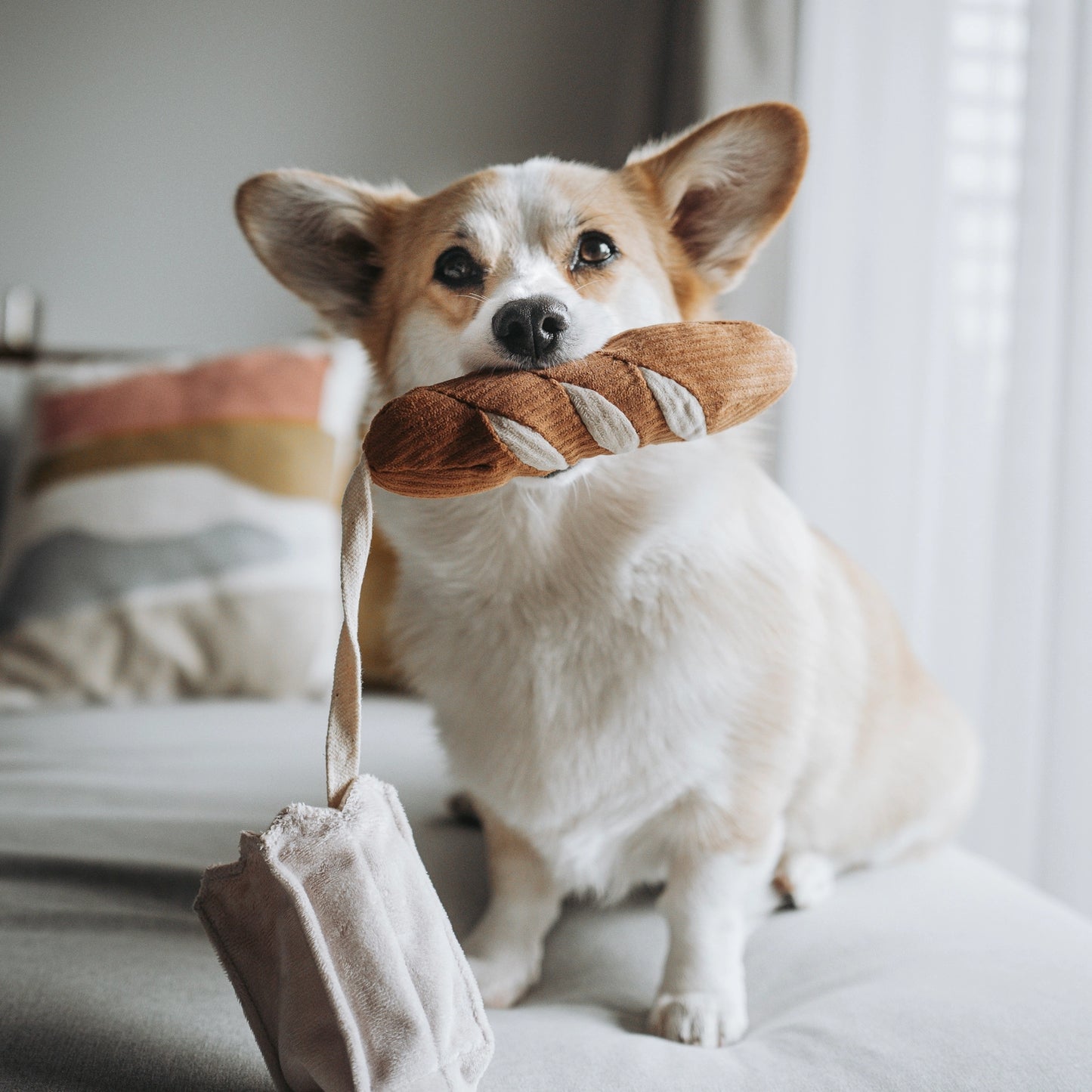 Jouet de Fouille : Mini Baguette